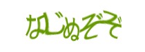 Authentication image